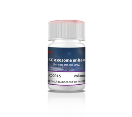 Stem Cell Exosome Enhancer Potenciador del exosoma de células madre