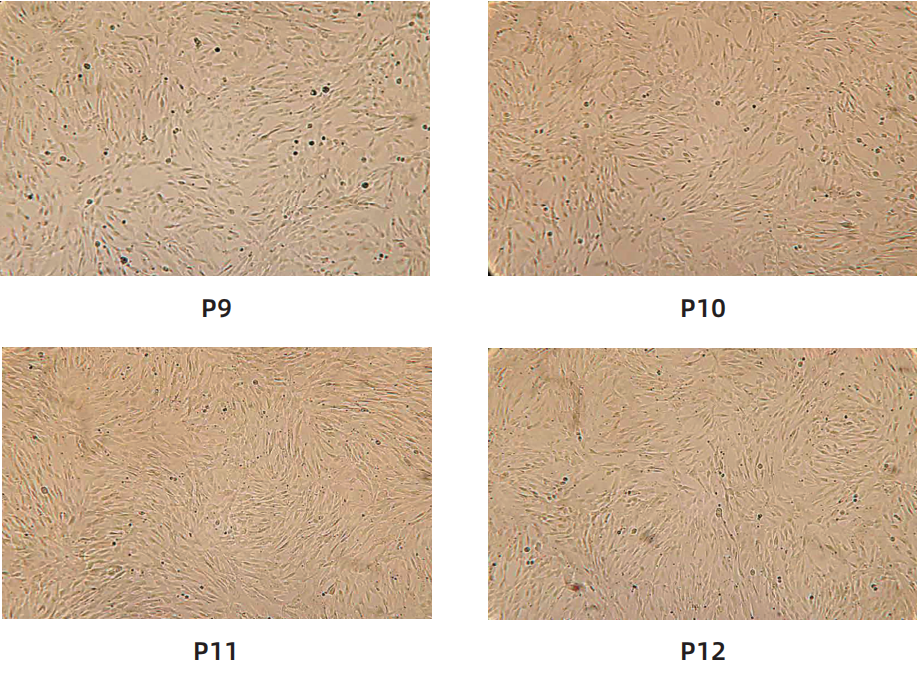 88756cd1001217945eb330fccec5d118