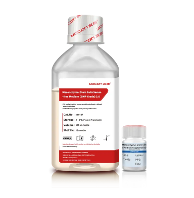 Una guía para principiantes para comprender los exosomas