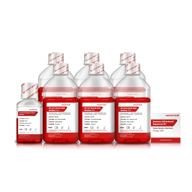 ¿Qué es la estreptopenicilina y su papel en la medicina moderna?