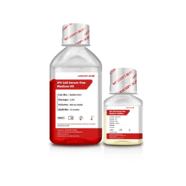 ¿Cómo maximizar la viabilidad celular después de la criopreservación?