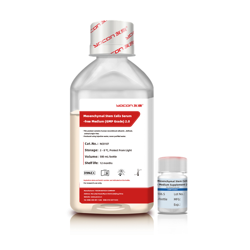 Células madre mesenquimales Medio sin suero (Grado GMP) 2.0